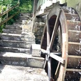 Muhlentag Alte Mühle Wilderswil