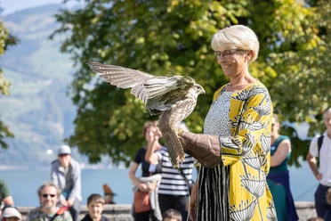 Falknerei erleben, Foto: Sabrina Kohler