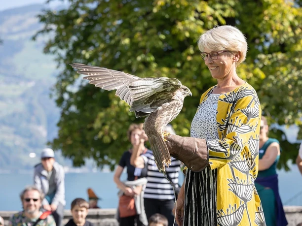 Falknerei erleben, Foto: Sabrina Kohler