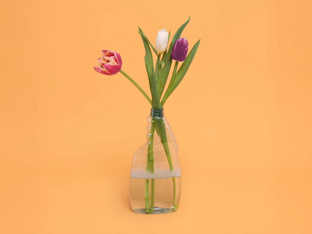 TiT 25 26 Nora Nora Nora 2560x1920