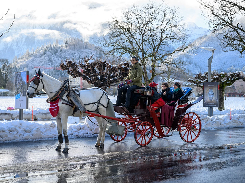 Interlaken winter schnee kutsche pferd hoeheweg