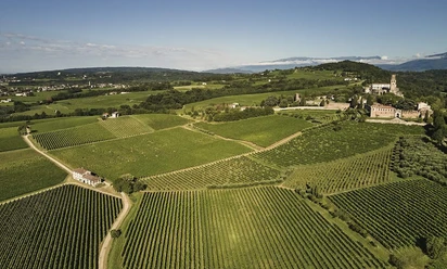 Degustation Chez Grisoni