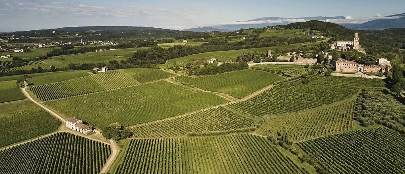 Degustation Chez Grisoni