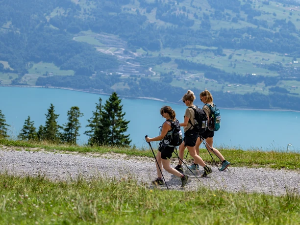 Rqmsz72anpeinrs1etydi0yi3dt8wck3