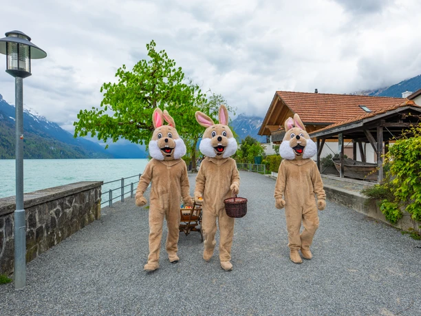 Osterhasen am Eier verteilen