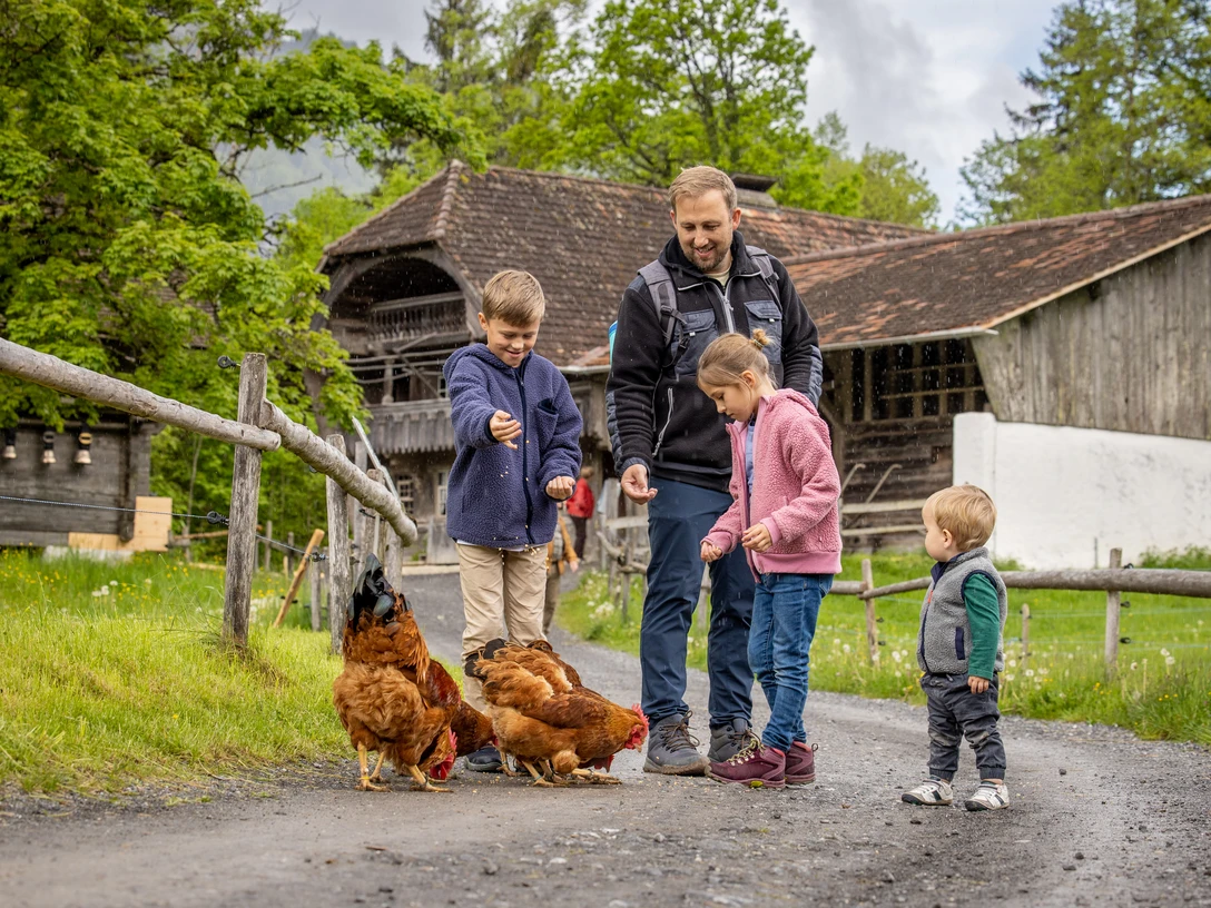 2023 05 13 dabi Fruehling 9486