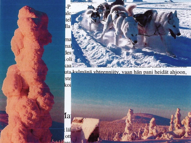 MartinSaurerSchlittenhunde MartinSaurerSchlittenhunde