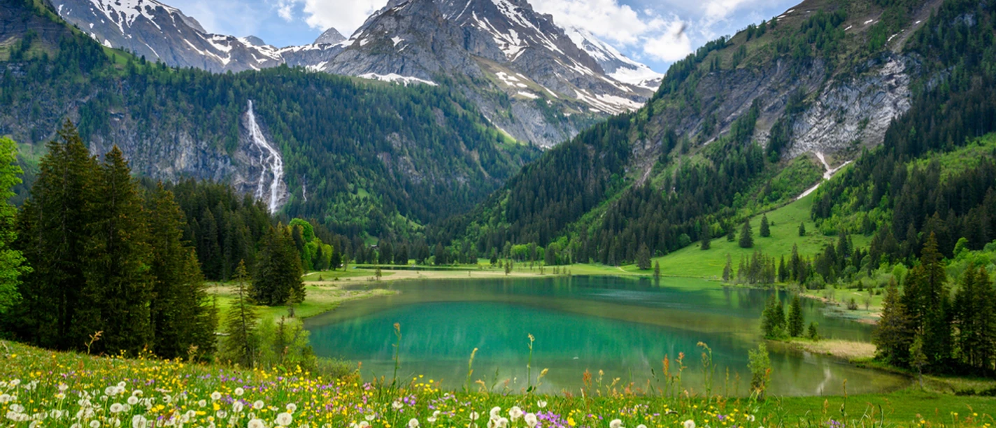 Oalaw4kw2l70xlr4ui0s40e8vrzpzvv1