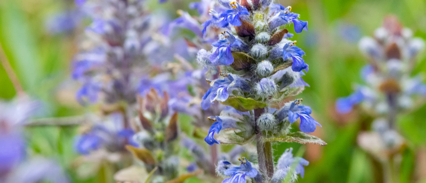 F8jhdi6lx6eeqvv6p2qtf1tceiwhergq