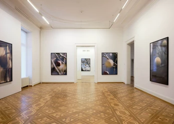 Thun kunstmuseum