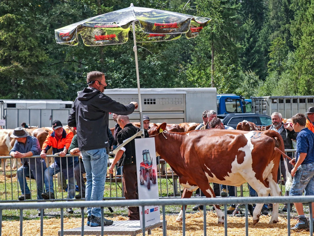 Viehsteigerung Anger