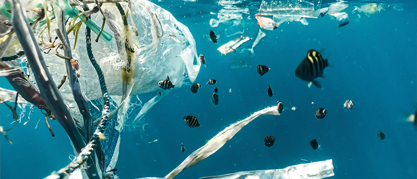 Mikroplastik