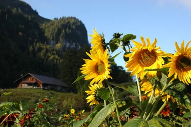Innere und äussere Landschaft