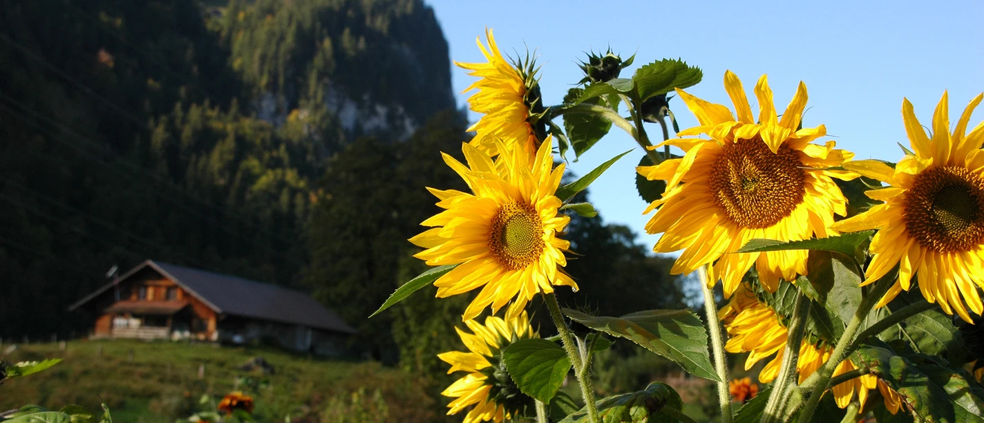 Innere und äussere Landschaft