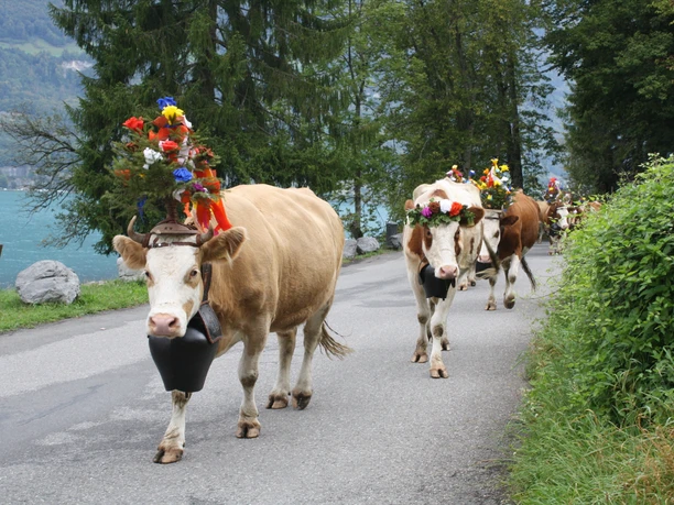 Alpabzug