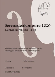 Liebhaberorchester Thun
