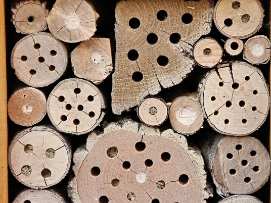 Insektenhotel; Quelle Pixabay