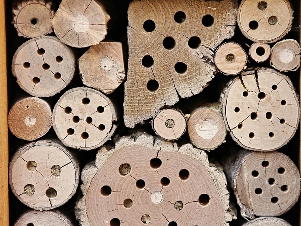 Insektenhotel; Quelle Pixabay