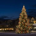 Grosser Weihnachtsbaum in Interlaken