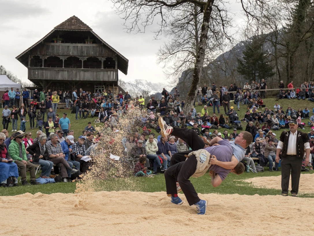 Titelbild Ballenberg Schwinget