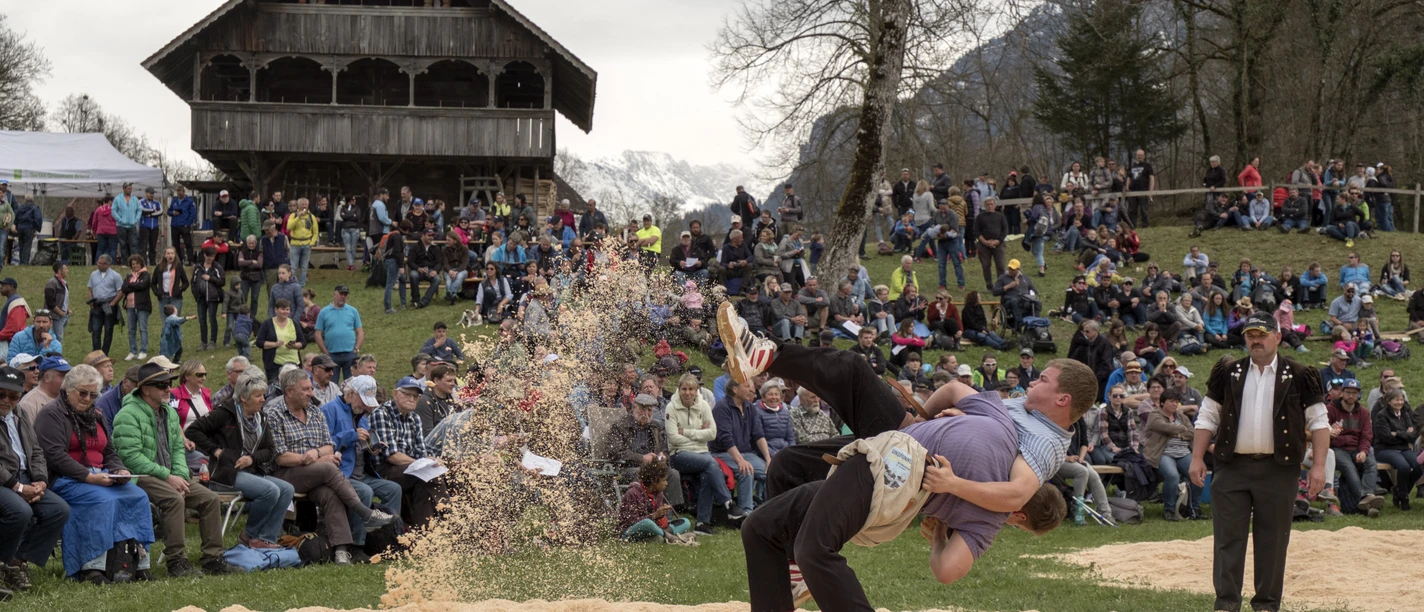 Titelbild Ballenberg Schwinget