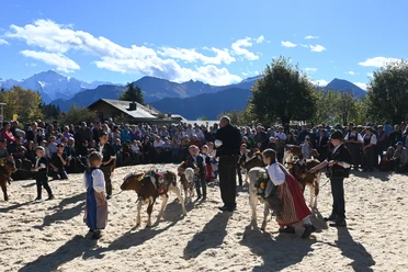 Jubiläumsviehschau 2022