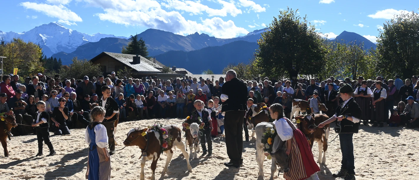 Jubiläumsviehschau 2022
