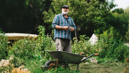 Waldgarten erleben und verstehen