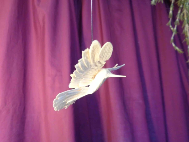 Fächervogel 24