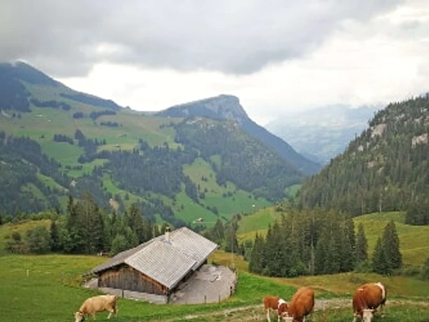 Sennhütte Menigwald