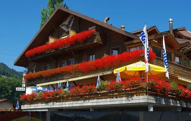 Hotel adler