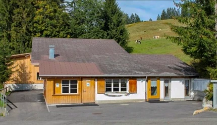 Stemmboge Pintli