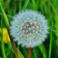 Quelle: Pixabay