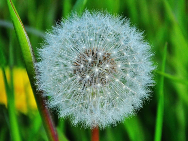 Quelle: Pixabay