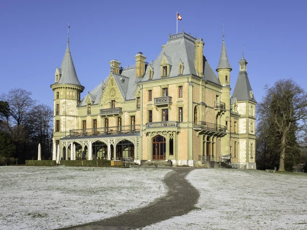 Schloss Schadau_winter@carolinapiasecki