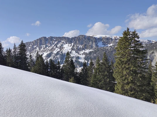 Verschneite Landschaft