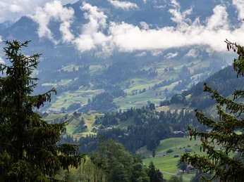 Auf der Exkursion erfährst du viel Wissenswertes über die Umgebung