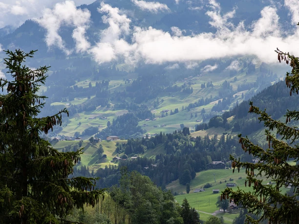 Auf der Exkursion erfährst du viel Wissenswertes über die Umgebung