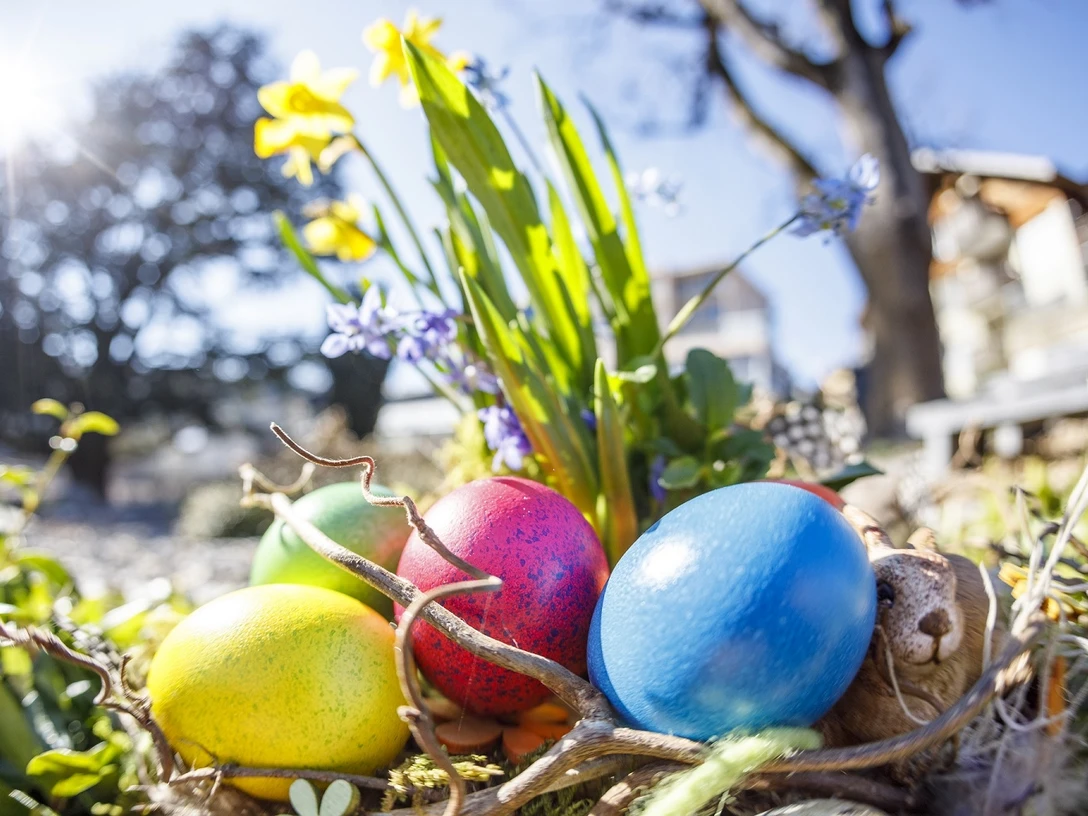 39k544t8d5intg0e2rtip7ppyay708tf