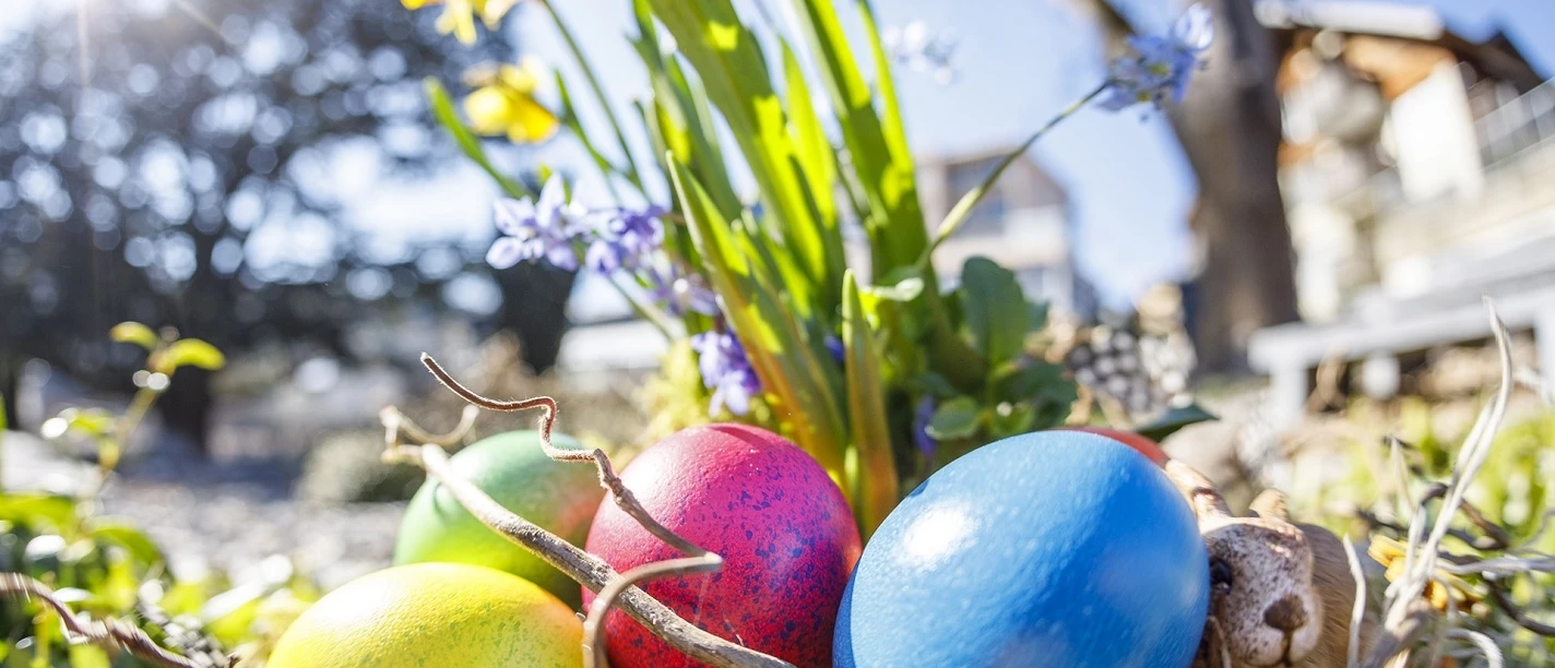 39k544t8d5intg0e2rtip7ppyay708tf