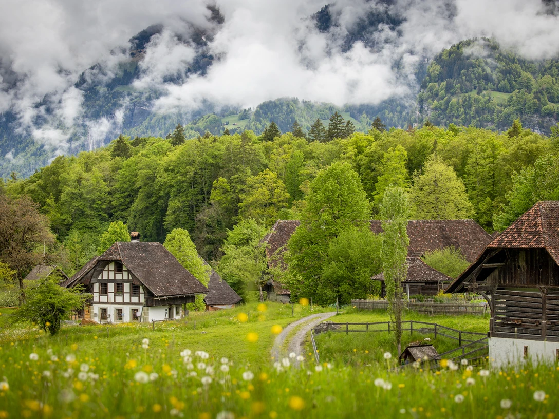 2023 05 13 dabi Fruehling 9443