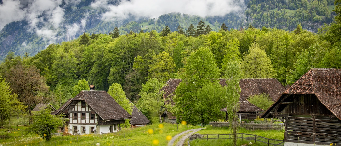 2023 05 13 dabi Fruehling 9443