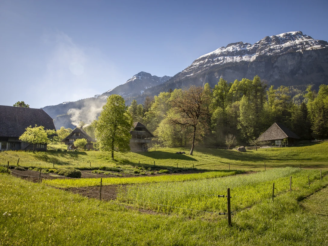 2025 04 30 dabi 301 Fruehling 2798