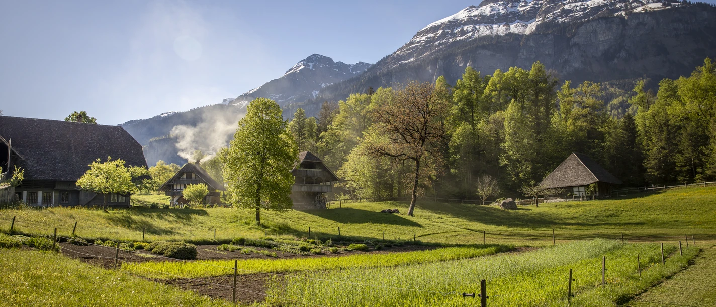 2025 04 30 dabi 301 Fruehling 2798