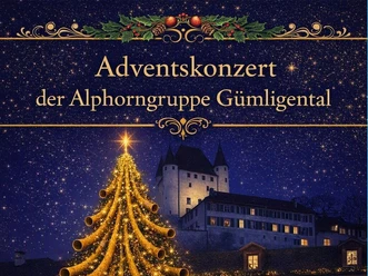 Adventskonzert alphorngruppe