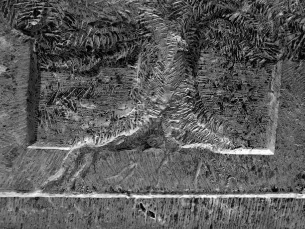 Baum - VSBS