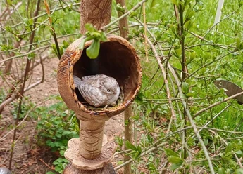 Gartenstehle 1 quer