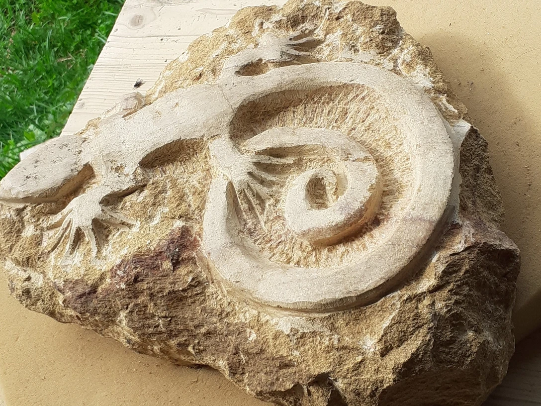 Karin Detrey - Atelier cuncta fluunt