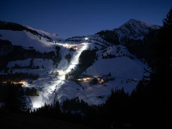 Quelle: Wiriehornbahnen