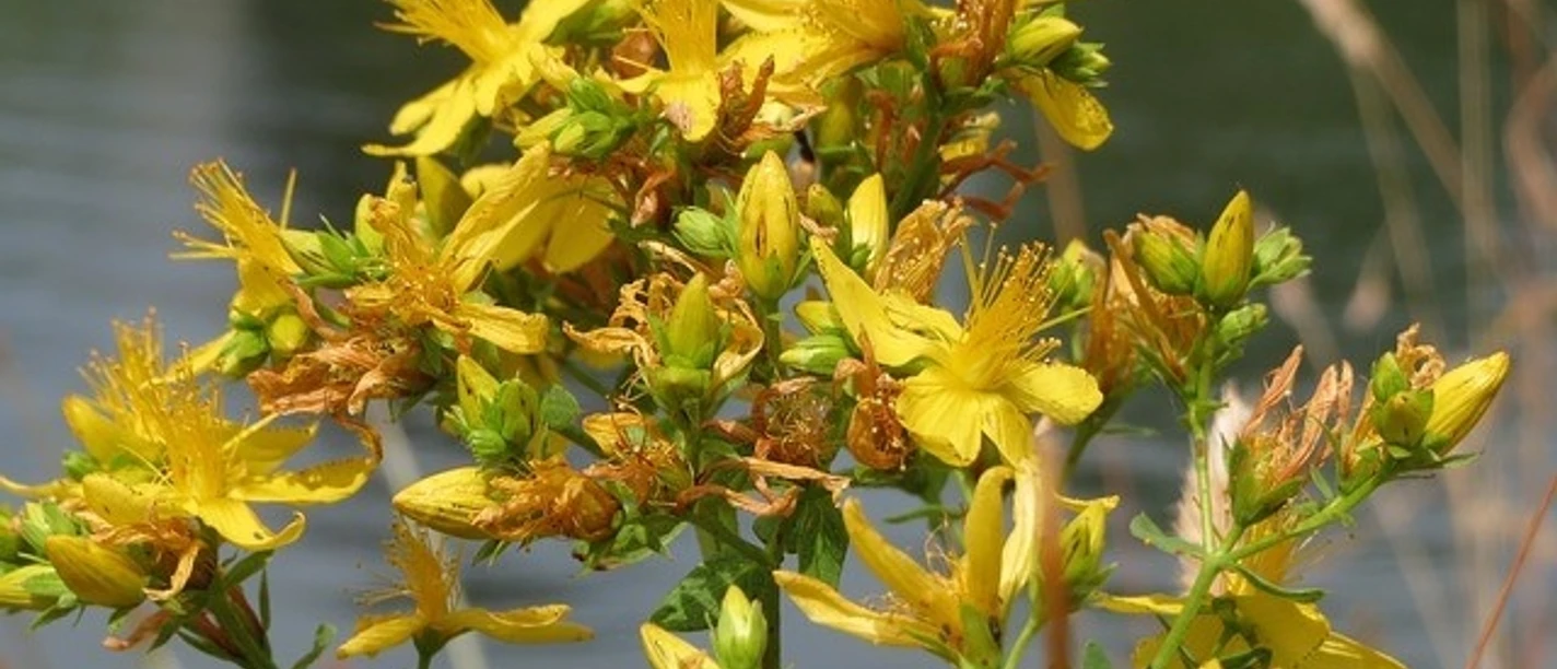 5gskebbh9m6kvwm8hjdnyozk28owbygh